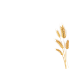 794183_13671-NPM51J-removebg-preview-2