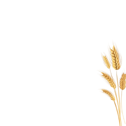 794183_13671-NPM51J-removebg-preview-2